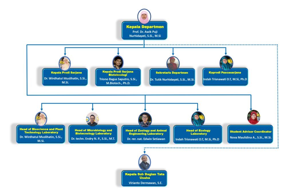 struktur organisasi 2025-2029