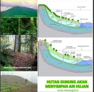 Ilustrasi hutan gunung sebagai kawasan hutan lindung dan daerah resapan air