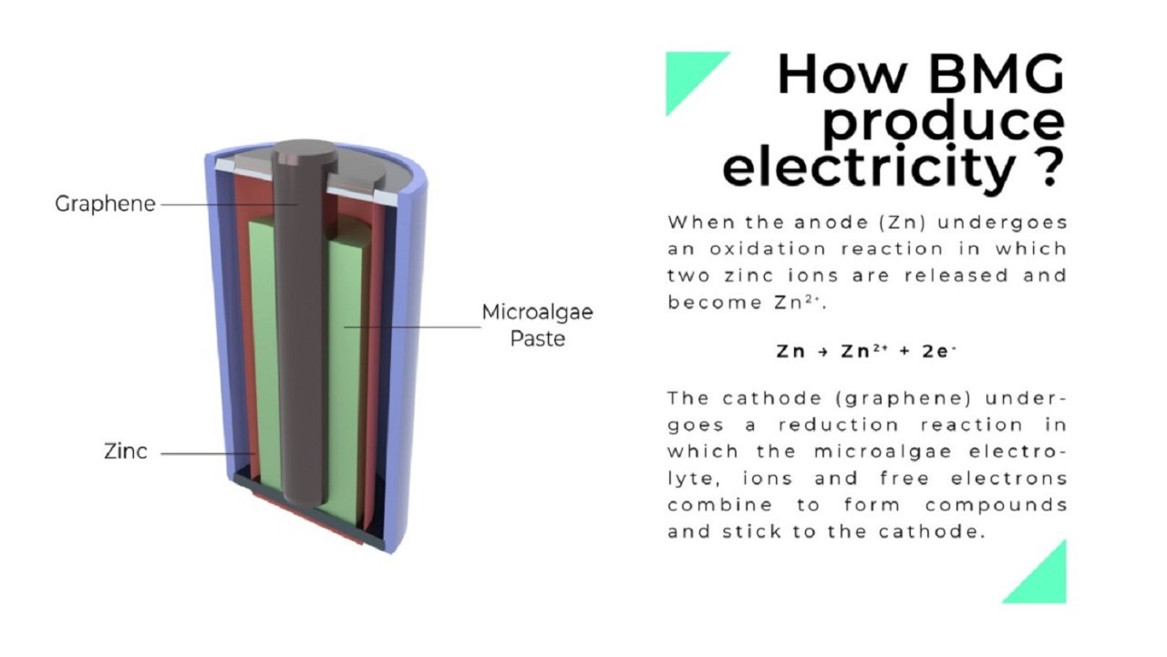 Ilustrasi dari Battery Microalgae Graphene (BMG) yang ramah lingkungan, gagasan dari tim mahasiswa ITS