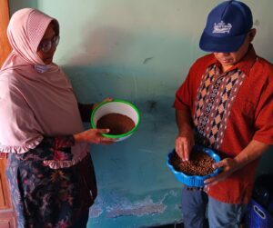 Proses pengecekan hasil pakan ikan mandiri