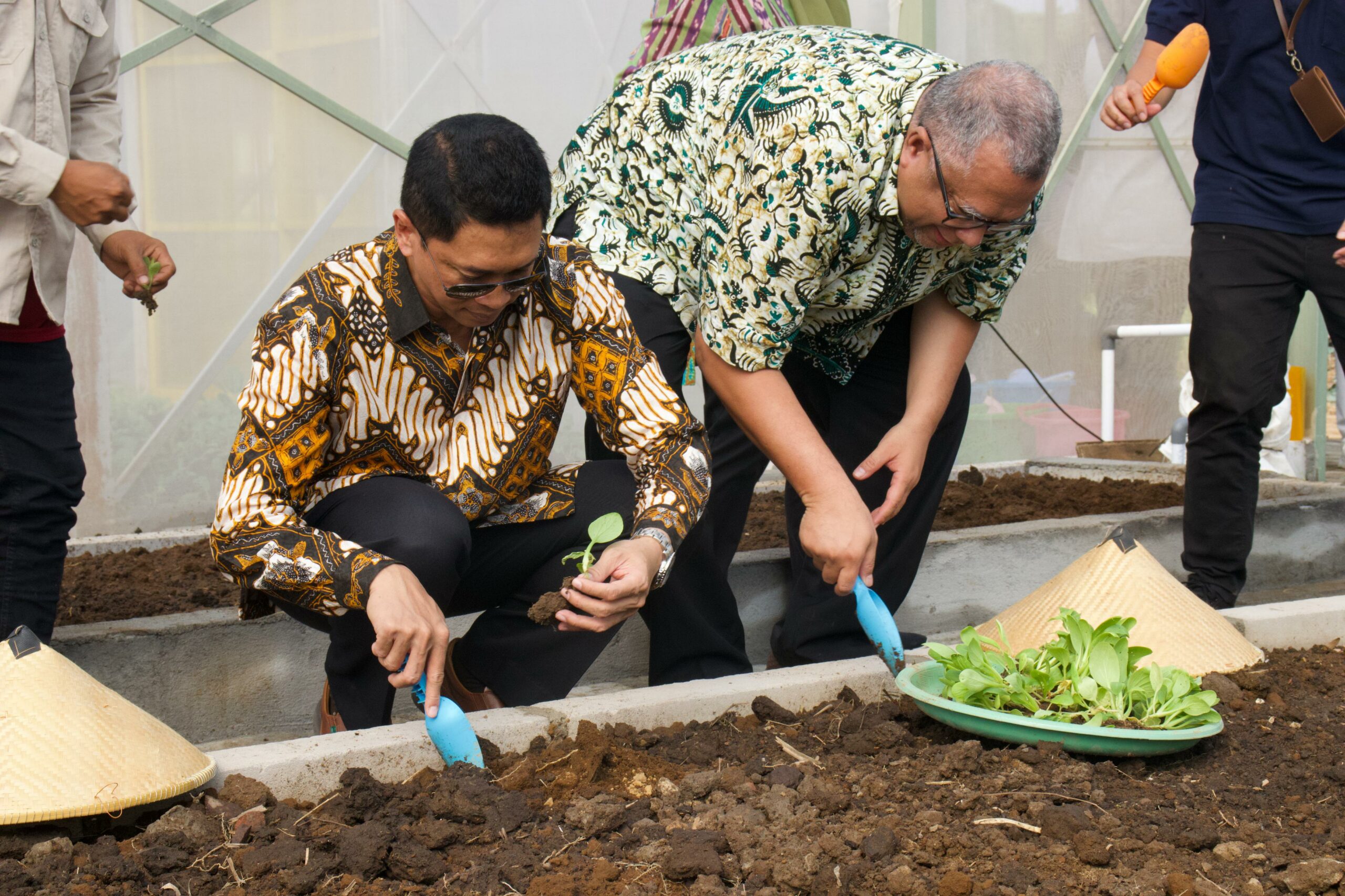 Gambar penanaman bibit pada greenhouse baru ITS