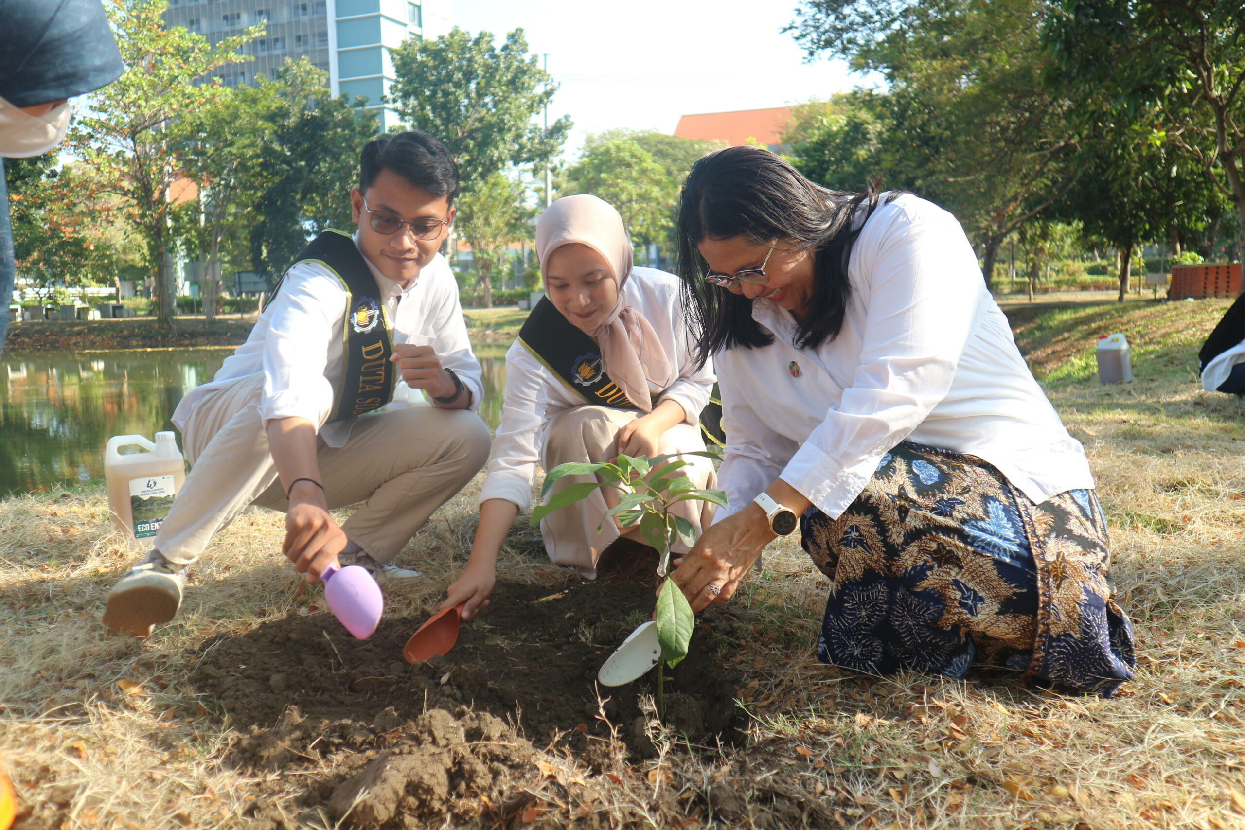 Foto penanaman bibit alpukat