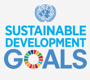 Report - Sustainable Development Goals